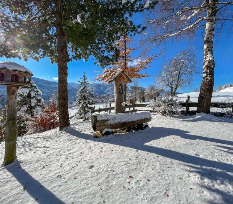 Murau, Kreischberg, Apartment, Hütte-18